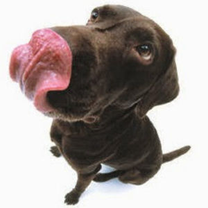 Meet your Posher, Ihps